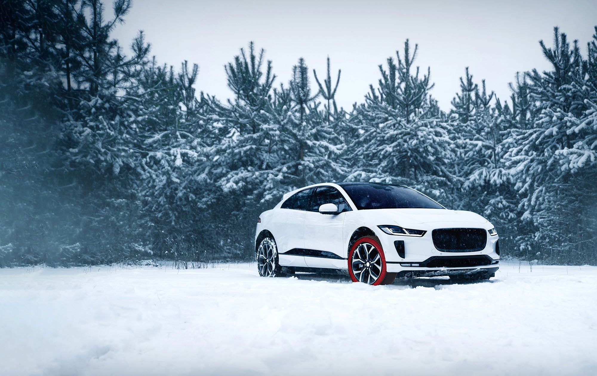 calze da neve auto multigrip